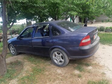ош машина: Opel Vectra: 1996 г., 2 л, Механика, Бензин, Седан