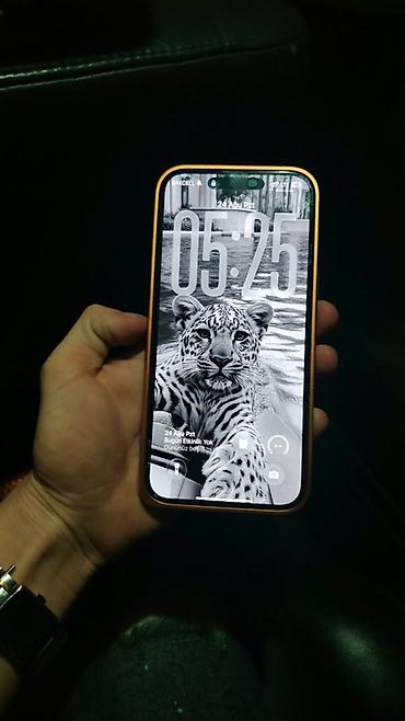 IPhone 16 Pro, 256 GB, Narıncı, Face ID, Zəmanət, Simsiz şarj
