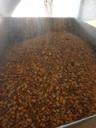 сколько стоит кролик домашний: Корм три в одном 24.50 сом за 1кг и есть все сорта корма