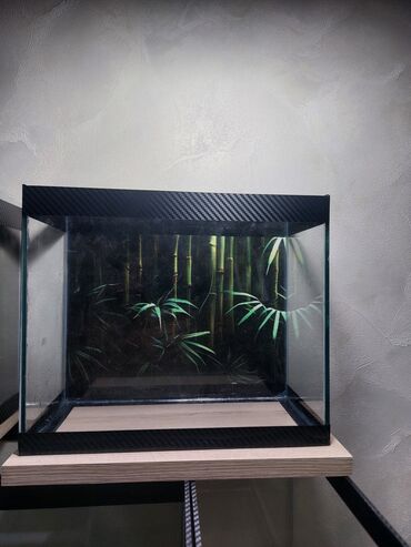 Akvariumlar: Şüşə akvarium – dekorativ fonlu modellər ölçü 30×25×15 Məhsul təsviri — 11