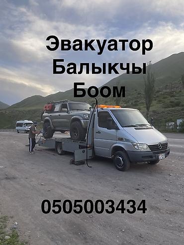 С лебедкой