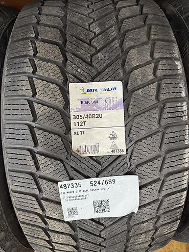 Шины 305 / 40 / R 20, Зима, Новый, Пара, Легковые, Таиланд, Michelin