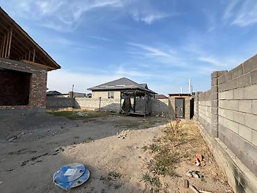 Жер тилкелери: 4 соток, Кызыл китеп — 3