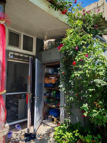 Digər bağ, çöl mebeli: Hövsan Zeytun qesebesi Beton yoluna 5deqiqelik məsafə.Binə və — 13