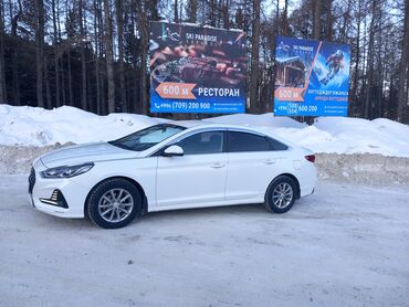 Трансфер, пассажирские перевозки: По региону, Аэропорт, По городу Такси, легковое авто | 4 мест