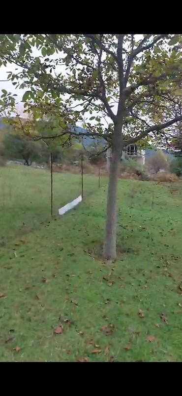 Torpaq sahələrinin satışı: Tikinti — 6