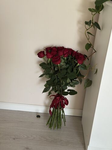 держин: 3 комнаты, Собственник, С подселением, С мебелью полностью, С мебелью частично