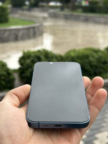 iphone x case: IPhone 13, 128 ГБ, Sierra Blue, Беспроводная зарядка, Face ID