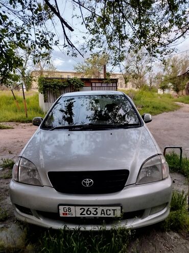 тайотта руннер: Toyota Nadia: 1998 г., 2 л, Автомат, Бензин