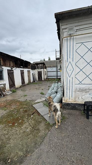 Продажа коттеджей и домов: ПРОДАЕТ СОБСТВЕННИК АГЕНТСТВАМ НЕ БЕСПОКОИТЬ Продается кирпичный дом — 14