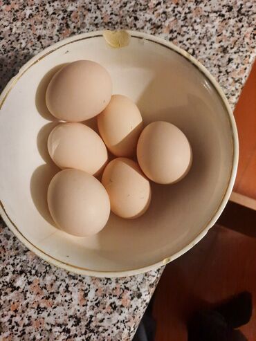 Mürəbbələr: Brama yumurtasi temiz mayali yumurtalardi