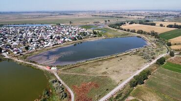 отдых дача: 700 соток, Кызыл китеп