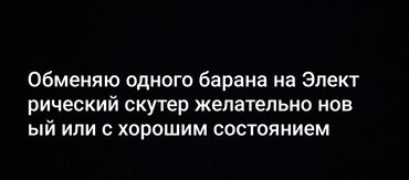 купить запчасти на опель вектра б: Другой электротранспорт