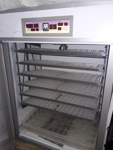 inkubator aparati: 1100 яиц, Заводское производство, Полностью автоматическая, Для всех видов птиц