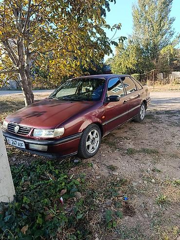 Volkswagen: Volkswagen Passat: 1994 г., 1.8 л, Механика, Бензин, Седан — 3