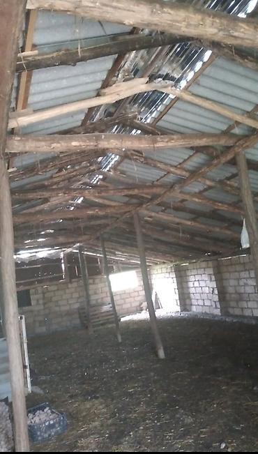 Torpaq sahələrinin satışı: Kənd təsərrüfatı — 6