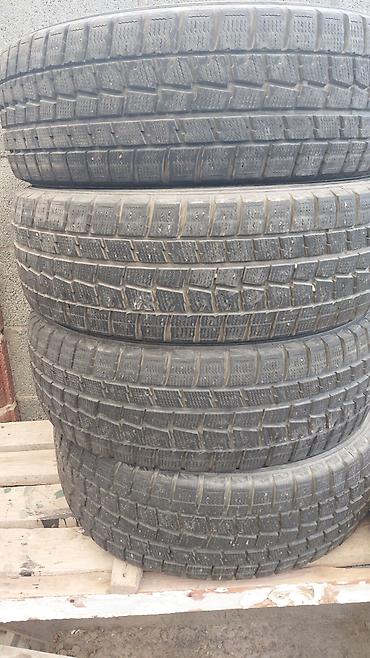 зимние поладки: Шины 195 / 65 / R 15, Зима, Б/у, Комплект, Легковые, Dunlop — 3