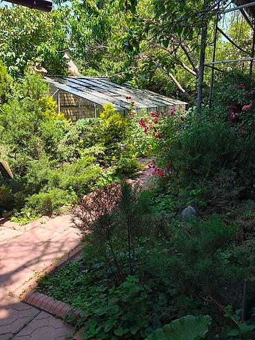 Продажа коттеджей и домов: Продаём большой добротный 🏠 650м2 на участке 5.5соток! Октябрьский — 18