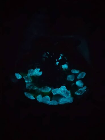 австралийский рак: Продаётся аквариум-бокал 2.5 л. В стоимость входит: светящиеся камни