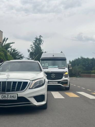 Трансфер, пассажирские перевозки: Бус — 26