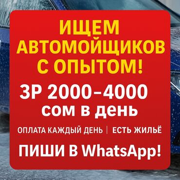 автомойка оборудование: Объявление о поиске автомойщиков с опытом работы. Предлагается