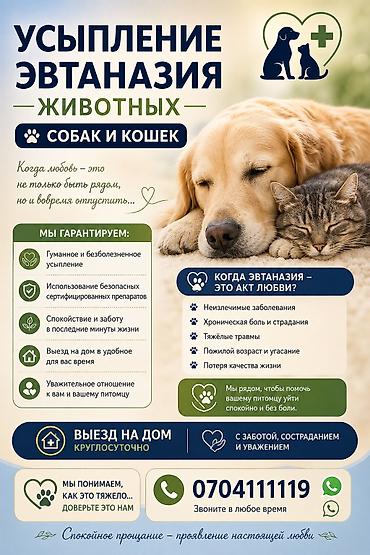 собаки щенки: Усыпление собак кошек 
Вывоз трупов с захоронением24/7 — 1