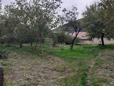 Torpaq sahələrinin satışı: 10 sot, Tikinti, Mülkiyyətçi, Kupça (Çıxarış) — 5