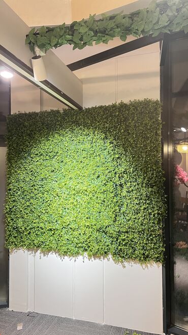 Digər ev dekoru: Kv 25 azn baslayan yasil dekorlar
Her olcude hazrlanr 
Depodan satis — 20