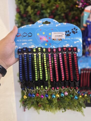 Xaltalar, qayışlar və tasmalar: Pişik və mini itlər üçün boyunbağılar. Taksilə çatdırılma xidmətimiz — 4