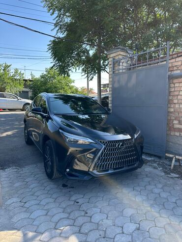 лексус lx350: Lexus NX: 2023 г., 2.4 л, Автомат, Бензин, Кроссовер