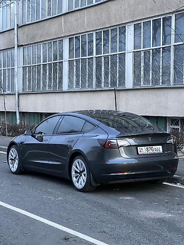 Tesla: Tesla Model 3: 2021 г., Автомат, Электромобиль, Седан — 5