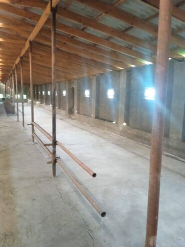 Torpaq sahələrinin satışı: 40 sot, Kənd təsərrüfatı, Mülkiyyətçi, Kupça (Çıxarış) — 9