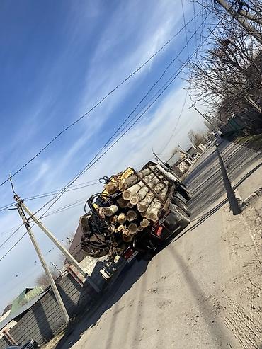 Услуги: Куплю тополь Терек Карагач кругляк куб 3000 тысяч сом Услуги по валке — 3