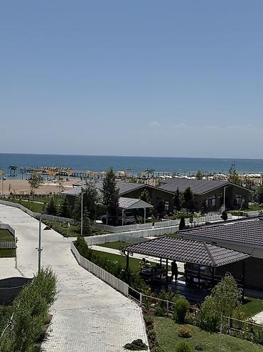 Аренда квартир на Иссык-Куле: Аренда квартиры на Иссык-Куле, Palm Beach, Чок-Тал, 4 места — 11