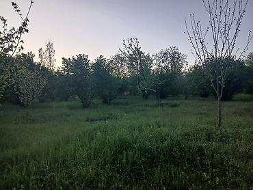 binede torpag: Satış üçün: yaşıllıqla əhatə olunmuş torpaq sahəsi - Təyinat — 3