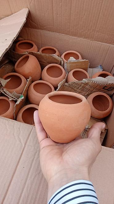 высокий кактус: QİYMƏT 1.80 QƏPİK SUKULENT VƏ KAKTUS ÜÇÜN DİBÇƏK əldə 60 ədəd var — 1