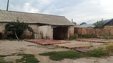 огуз: Продается в селе Кызыл суу, Джеты огузский район, Ыссыккульская — 3