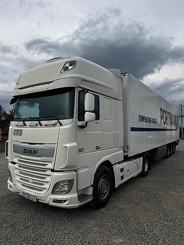 ман тгл: Сцепка-рефрижератор готовая к работе. Тягач: DAF XF 106, 2015 г.в. - — 3