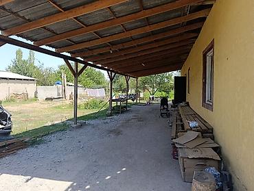 Продажа коттеджей и домов: Продается большой дом. 7 комната. дом находится в с.Беловодское — 4