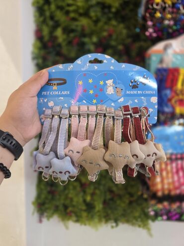 Xaltalar, qayışlar və tasmalar: Pişik və mini itlər üçün boyunbağılar. Taksilə çatdırılma xidmətimiz — 15