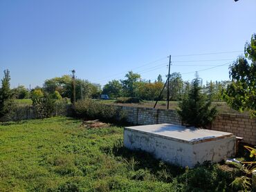 Torpaq sahələrinin satışı: 20 sot, Tikinti, Mülkiyyətçi, Kupça (Çıxarış) — 2