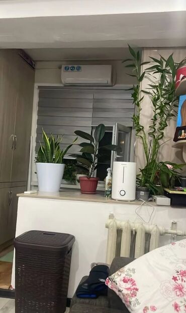 снять студию долгосрочно: Студия, Собственник, Без подселения, С мебелью полностью