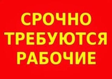 работа в бишкеке для студентов официант без опыт: МП “Бишкекзеленстрой” приглашает на работу Муниципальное предприятие