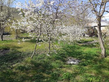 Torpaq sahələrinin satışı: 10 sot, Tikinti, Mülkiyyətçi, Kupça (Çıxarış) — 5