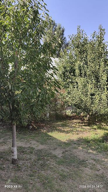 бир: 40 м², 2 бөлмө, Ак-Босого ж/м, Жаныбарлары жок — 1