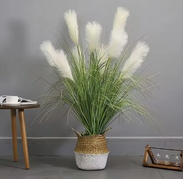 Süni güllər: “Green Line ilə Yaşıllıq Hər Zaman Yanınızdadır – Keyfiyyətli Süni -da lalafo.az — 15 Süni güllər: “Green Line ilə Yaşıllıq Hər Zaman Yanınızdadır – Keyfiyyətli Süni — 15