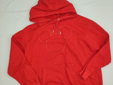 sweter w truskawki zara: Women`s hoodie, H&M, size M (EU 38)