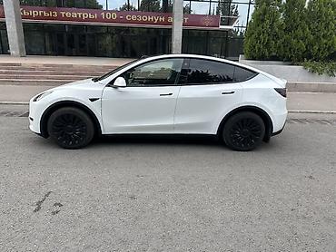 Tesla: Tesla Model Y: 2023 г., Электромобиль, Кроссовер — 5