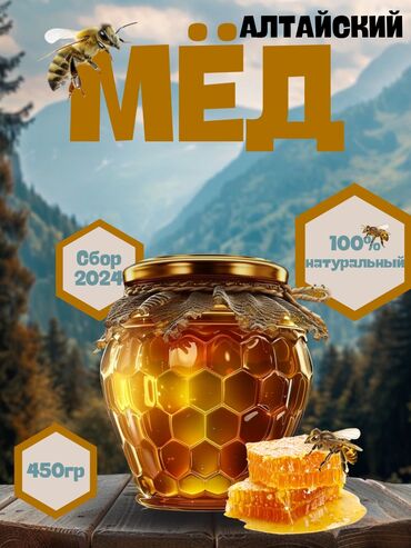 Интернет реклама: Telegram, WhatsApp, Разработка дизайна — 9