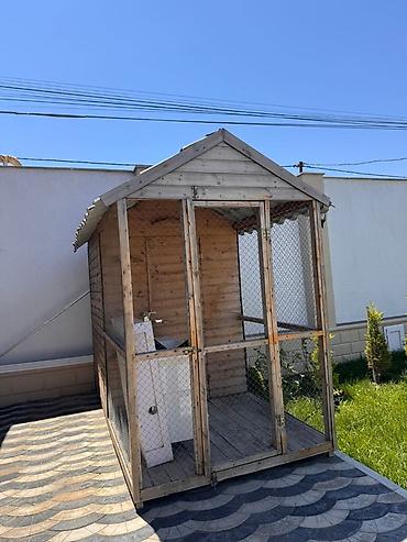 quş damı: Taxta konstruksiyalı açıq hava quşxanası/volyer - Material: möhkəm — 1